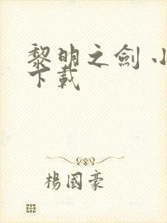 黎明之剑 小说下载