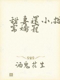 甜妻还小,总裁需娇宠