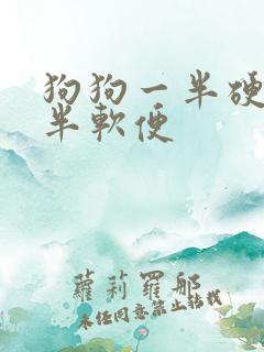 狗狗一半硬便一半软便