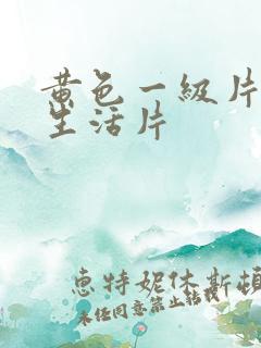 黄色一级片夫妻生活片