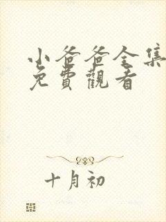 小爸爸全集播放免费观看