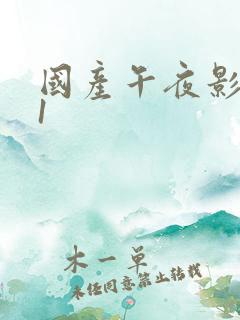 国产午夜影视91