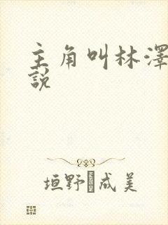 主角叫林泽的小说