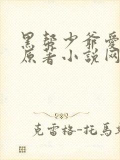 黑帮少爷爱上我原著小说网盘