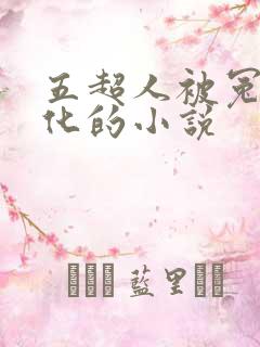 五超人被冤枉黑化的小说