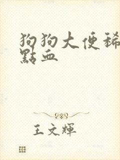 狗狗大便稀软带点血