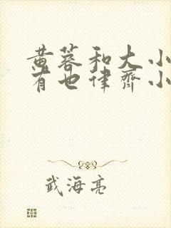 黄蓉和大小武还有也律齐小说