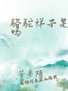 骆驼祥子是小说吗