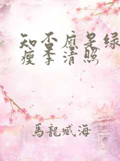 知否应是绿肥红瘦李清照 知否应是绿肥红瘦李清照