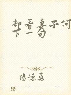 却看妻子何愁在下一句