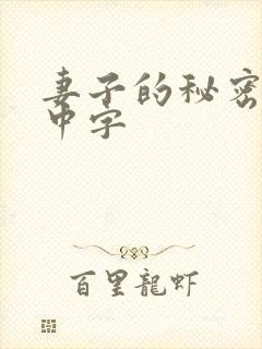 妻子的秘密电影中字