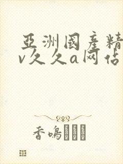 亚洲国产精品av久久a网站