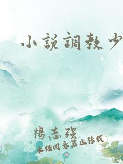 小说调教少妇