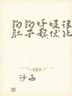 狗狗呼吸很急促肚子起伏比较快