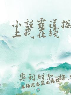 小说霸道总裁爱上我在线