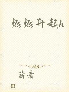 燃燃升起h