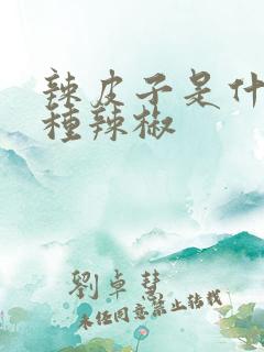 辣皮子是什么品种辣椒