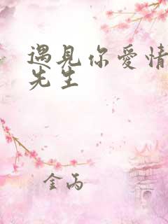 遇见你爱情的利先生