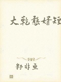 大乾憨婿短剧上