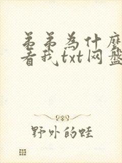 弟弟为什么这样看我txt网盘