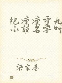 纪凛凛霍九霖的小说名字叫什么