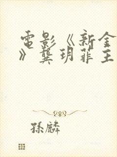 电影《新金梅瓶》龚玥菲主演