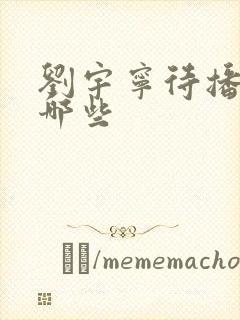 刘宇宁待播剧有哪些