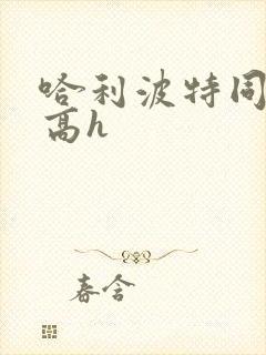 哈利波特同人文高h