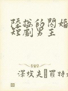 陆总的闪婚甜妻短剧男主