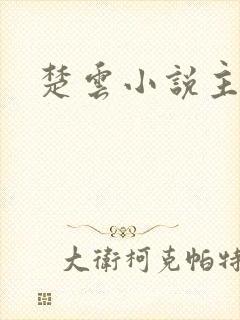 楚云小说主角