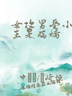 女攻男受小说女主是病娇 女攻男受小说女主是病娇