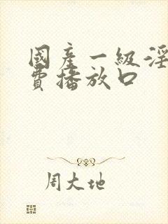 国产一级淫片免费播放口