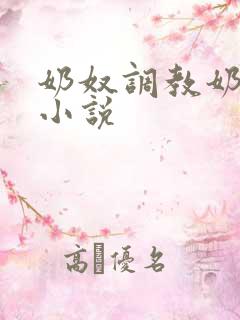 奶奴调教奶头的小说