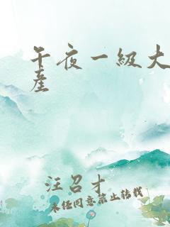 午夜一级大片国产