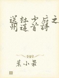 送杜少府之任蜀州这首诗