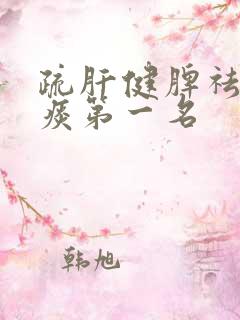 疏肝健脾祛湿化痰第一名