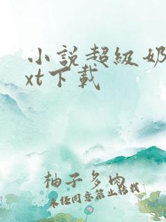 小说超级奶爸txt下载