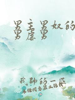 男主男奴的玩法男虐男