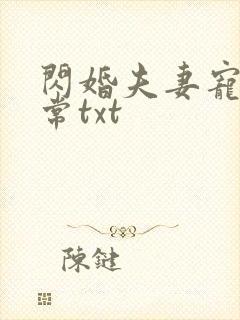 闪婚夫妻宠娃日常txt