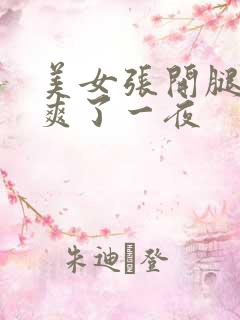 美女张开腿让我爽了一夜