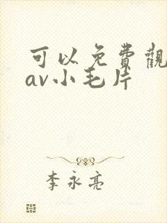 可以免费观看的av小毛片
