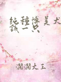 纯种博美犬价格钱一只