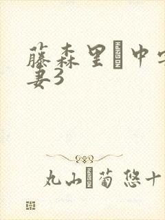 藤森里穂中字人妻3