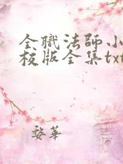 全职法师小说精校版全集txt