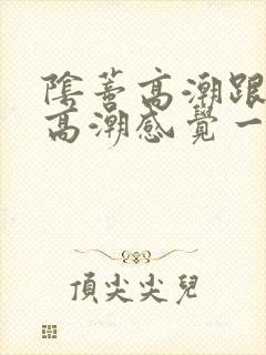 阴蒂高潮跟阴道高潮感觉一样吗