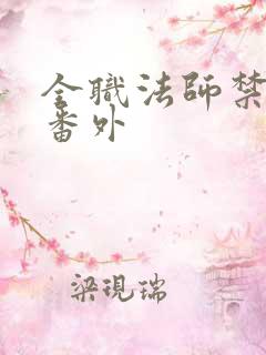 全职法师禁咒后番外