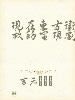现在东方卫视播放的电视剧是什么