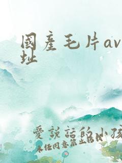 国产毛片av网址