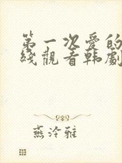 第一次爱的人在线观看韩剧免费高清