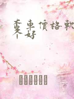 查车价格软件哪个好